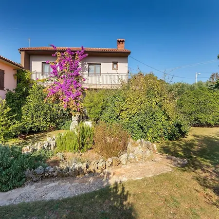 In Near Amphitheater * Pula