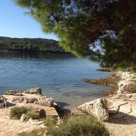 In Near Amphitheater Daire Pula